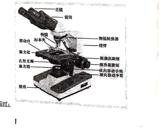 光学显微镜结构图